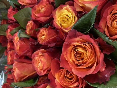 Роза красно-оранжевая 60 см