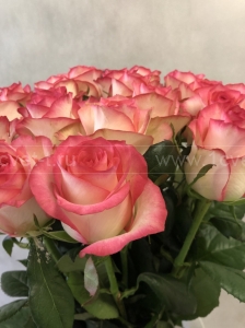 Роза розовая 50 см №960